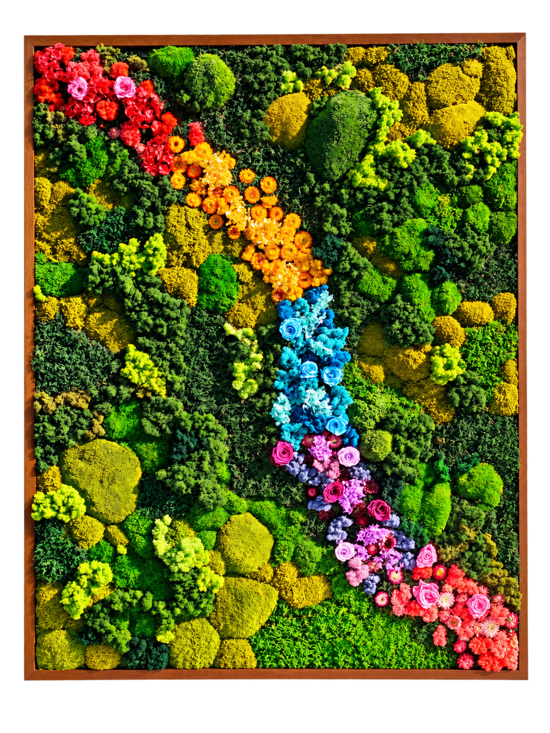 Rainbow Flower Trail