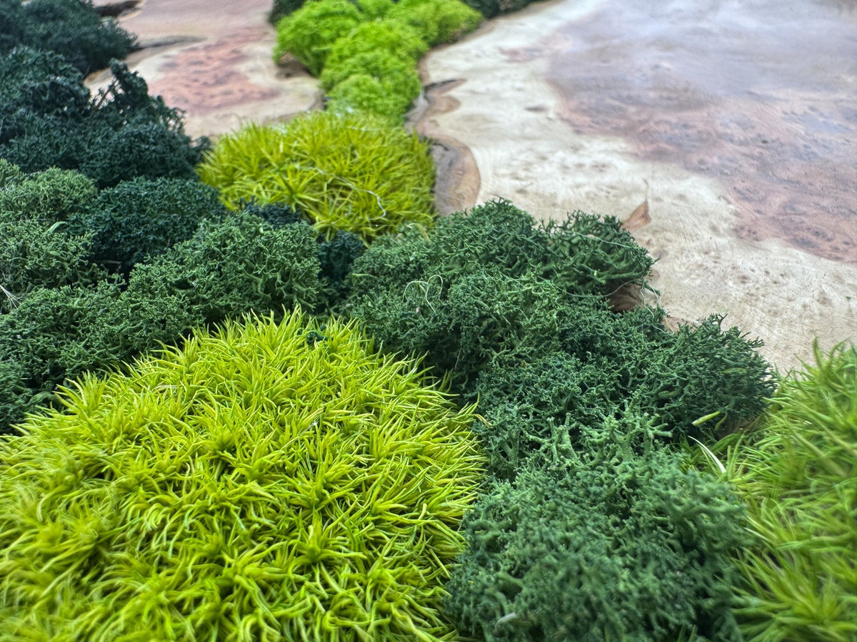 Moss texture · Material reference