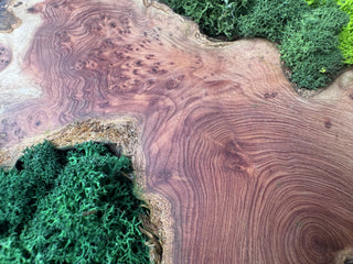 Wood grain · Material reference