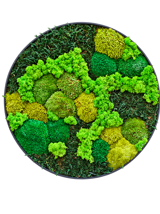 Green Moss Circle