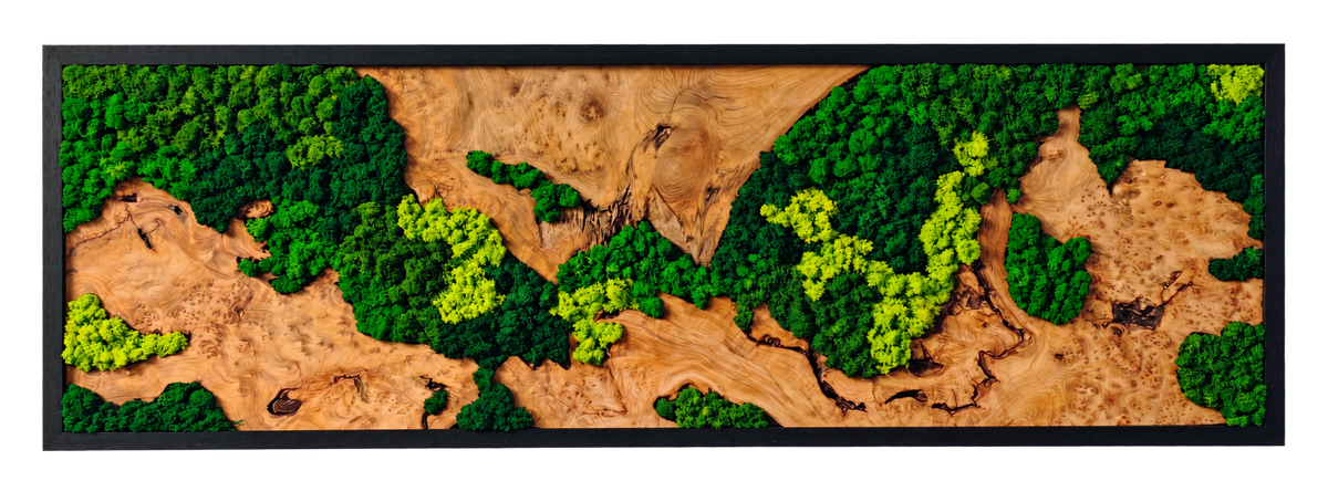 Horizontal Burlwood Forest