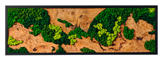 Horizontal Burlwood Forest