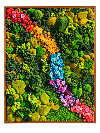 Rainbow Flower Trail