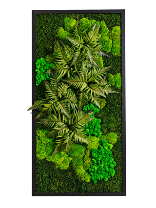Vertical Fern Forest