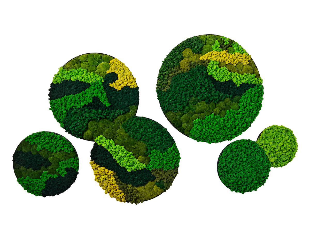 Custom Circular Arrangement