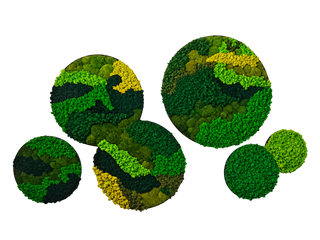 Custom Circular Arrangement