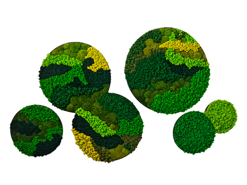 Handcrafted moss artwork P13, background removed; design reference