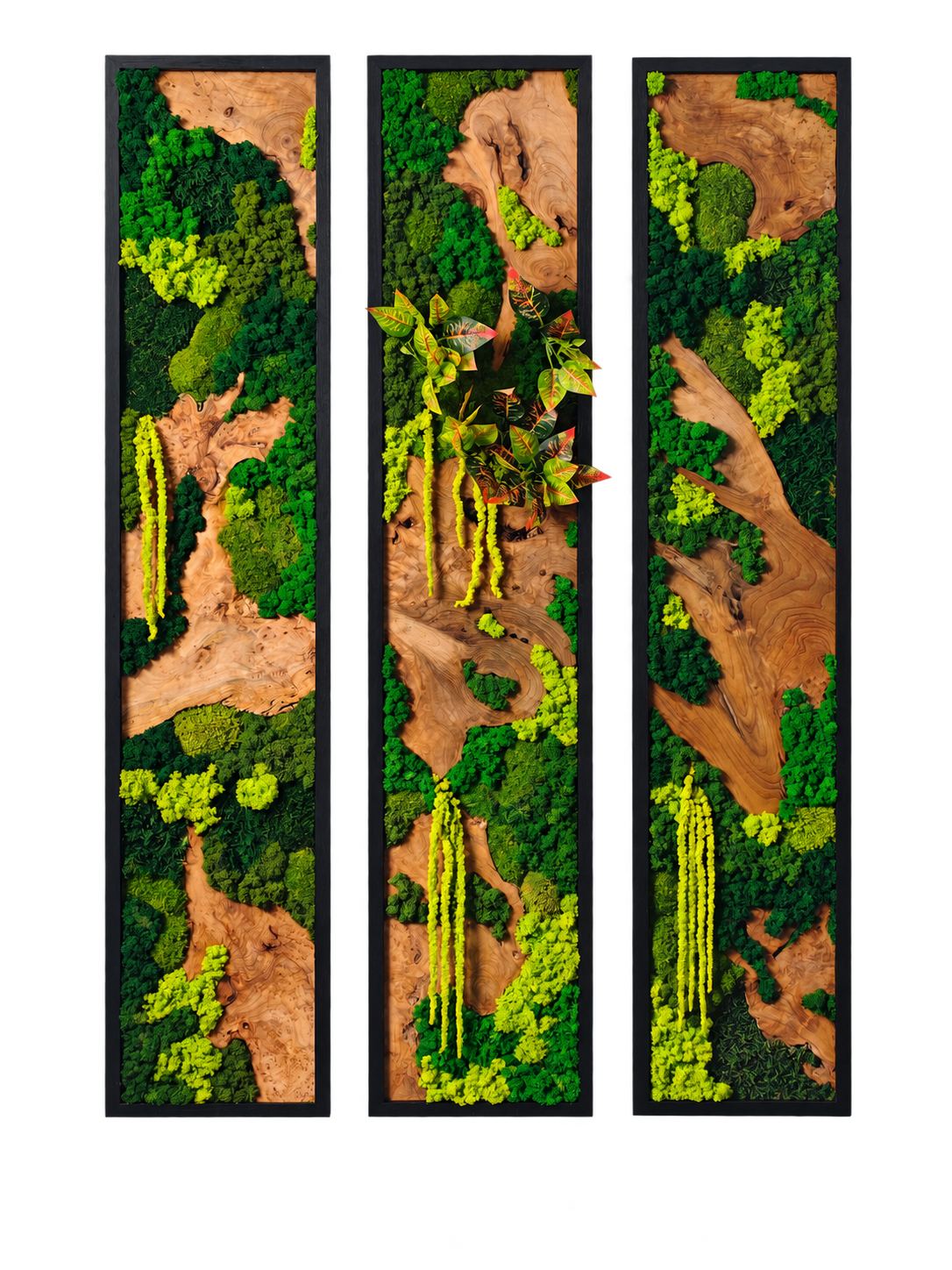 Custom Burlwood Triptych