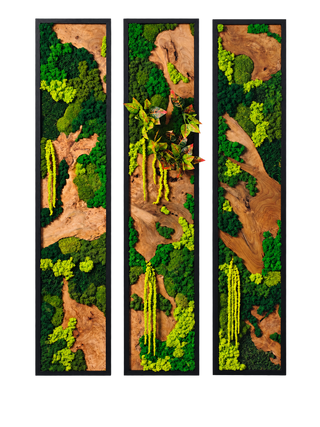 Custom Burlwood Triptych