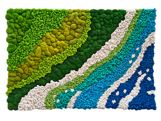 Custom Commercial Moss Wall