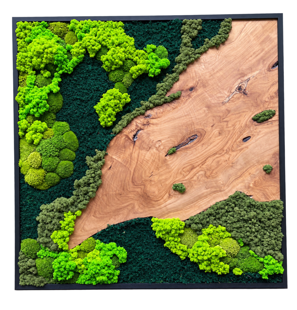 Large Burlwood Forest Square